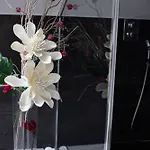 Elvira V Soukromem * קונטה הורה