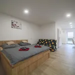 Elvira V Soukromem Apartment
