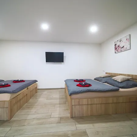 Elvira V Soukromem * 库特纳霍拉