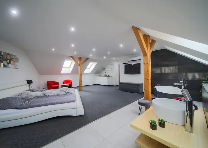 Elvira V Soukromem *