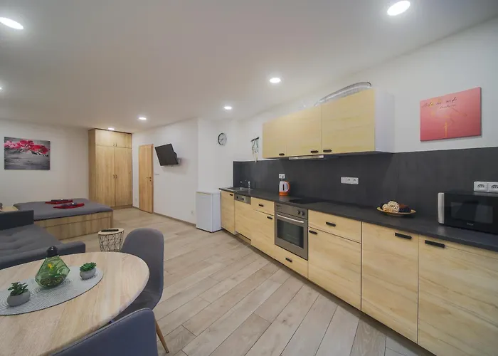 Elvira V Soukromem 公寓