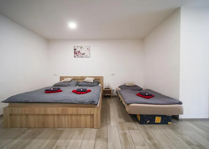 Apartment Elvira V Soukromem