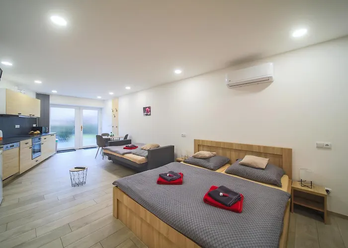 Elvira V Soukromem 库特纳霍拉